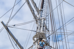 Knowing The Ropes