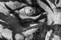 The Eye