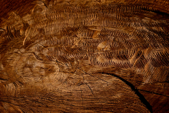 Saw Marks
