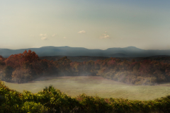 Foggy Fall Day