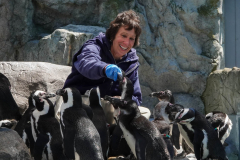 The Penguin Lady