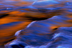 Third Place - "Autumn Light"