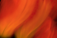 Blur De Lis