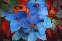 Color Me Blue