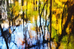 Fall Reflection