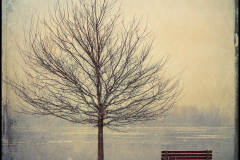 Winter Solitude
