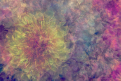 Zinnias Ala Monet