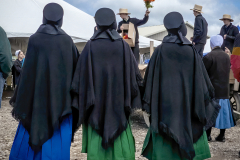 Amish Flower Auction