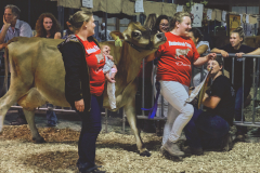 Grand Champion