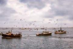 The Fishing Boats Are In