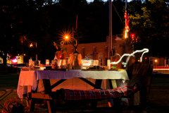 American Picnic