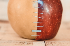 Stapled Apple