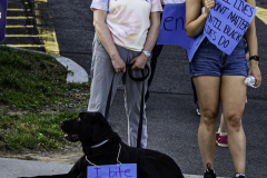 I Bite Racists
