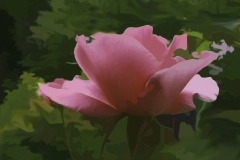 Peony Artistic