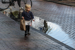 Day In The Life Of Amsterdam