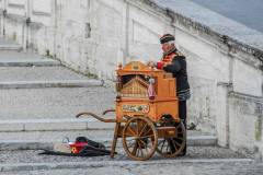 Organ Grinder