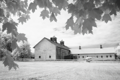 Ann Lee Farm