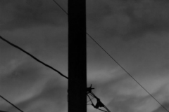 Stormy Weather