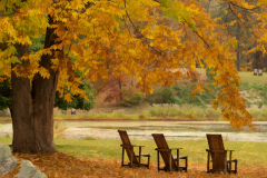 Autumn At Innisfree