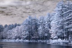 Blue Forest Lake