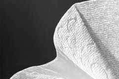 TP Detail