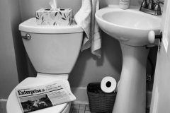 The Toilet Papers