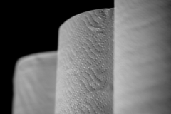Toilet Paper No.2