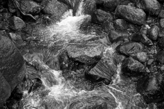 Exponential Flow