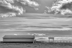 Horse Farm