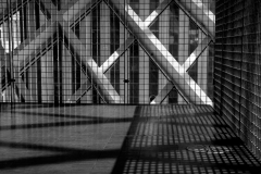 Library Shadows