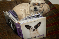 Curled Up With A Good Book