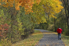 A Fall Walk