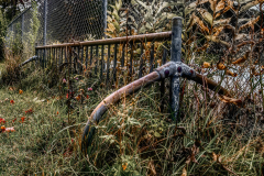 Summer Of Neglect