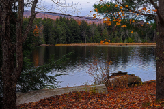 The End Of The Fall Season