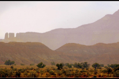 New Mexico Scene