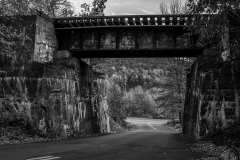 Bridging The Gap