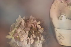 Vase And Dried Flowers