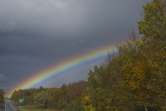 After The Storm