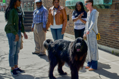 Big Dog