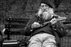 Park Bench Minstrel