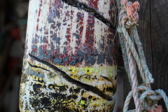 Maine Buoy