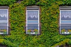 Window Trio In Dublin