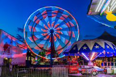 Saratoga Fair