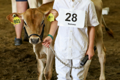 Bummer At The County Fair