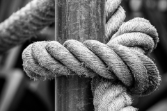 Roped Off