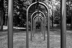 Curves Within Curves