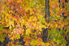 October Snow