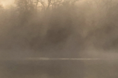 Misty Sunrise