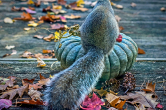 Bye Bye Autumn
