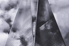 Standing Tall